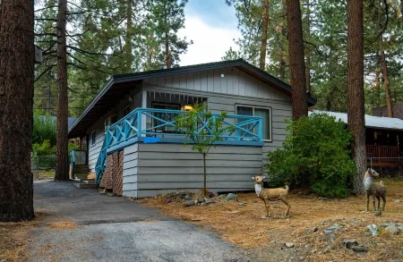 The Cozy 2 bedroom Pineland Chalet