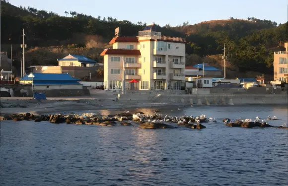 達摩亞旅館