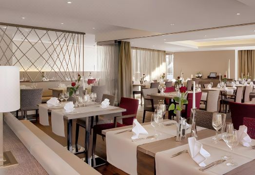 골든 튤립 파크호텔 노이울름