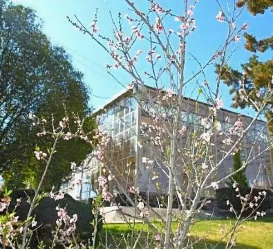 Hotel Parador Zacatecas