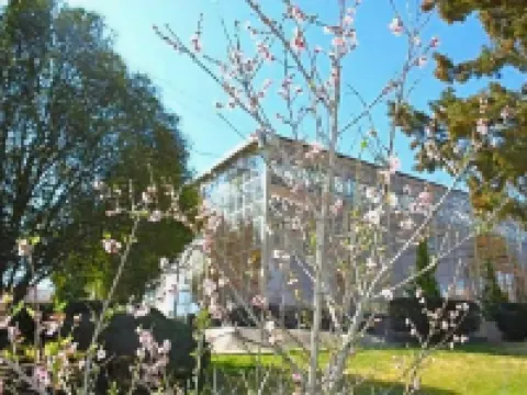 薩卡特卡斯珀拉多飯店 住宿飯店