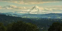 One-bedroom honeymoon penthouse, Mt Hood views, downtown White Salmon, suite 16