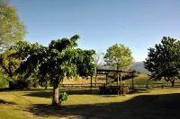 Il Pino Bioagricoltura Hotels in Montevarchi