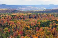Cozy Mountain Escape to Southern Vermont