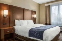 Fairfield Inn & Suites Scottsdale Old Town