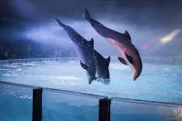 Cosy Bungalow Near the Beach