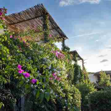 La Jacia Hotel & Resort Hotel Exterior
