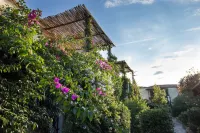 La Jacia Hotel & Resort Hotel a Baja Sardinia