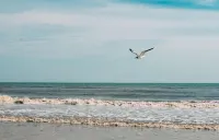 Bluebird Dennisport Hotels in Dennis Port