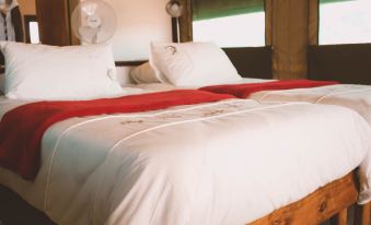 Palmwag Camping2Go