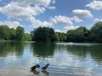 Royas Home Private Studio Hotels in Kortenberg