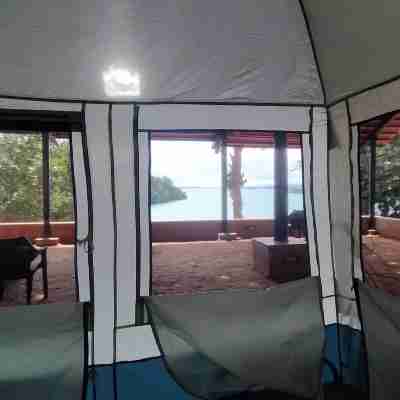 Laughing Elephants Rooms