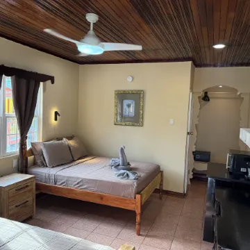 Tropical Paradise