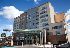 حياة بليس تيجوانا