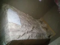 Apex Guest Rooms Hotels in Juja