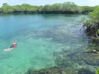 Hostal Las Gardenias Hotels in Isabela