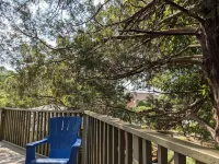 Tree House Condo! Great Location! Steps From Campus!
