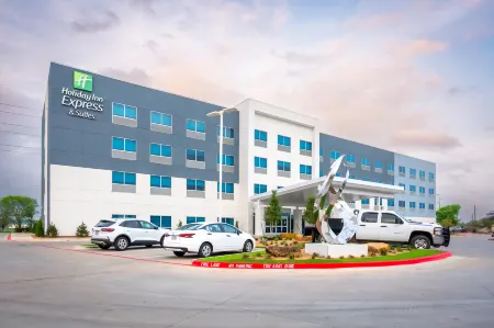 Holiday Inn Express & Suites WACO DOWNTOWN by IHG