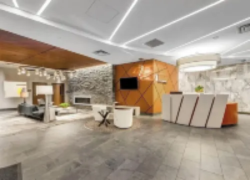 Charming elegant high-rise  apartment in heart of Denver