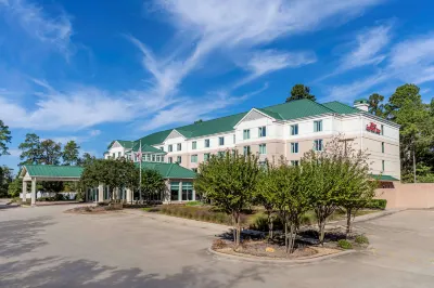 Hilton Garden Inn Houston/The Woodlands Hotels near Spa at the Waterway