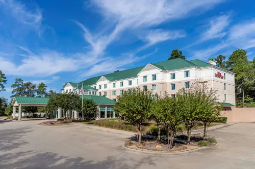 Hilton Garden Inn Houston/The Woodlands