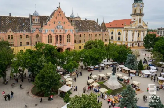 Lovely apartment in downtown with free parking