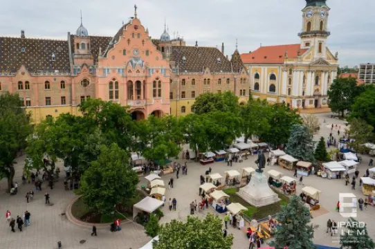 Lovely apartment in downtown with free parking Hotels in Kecskemet