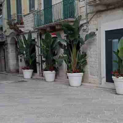 Locus Pendinelli Trani 53-The Philosophy of a b&b, the Details of a Hotel!!! Others
