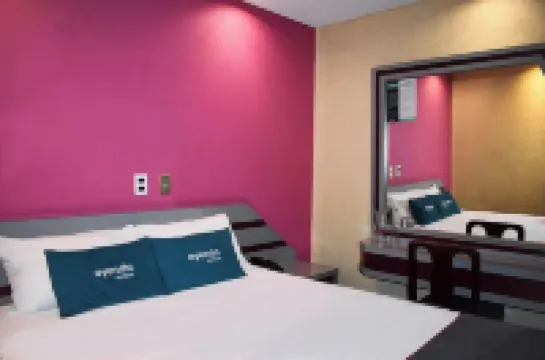 캐피탈 오 프리다 코스타줄