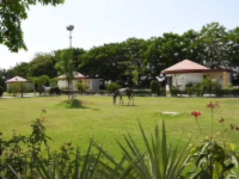 The Desert Den - Little Rann of Kutch Hotels in Surendranagar