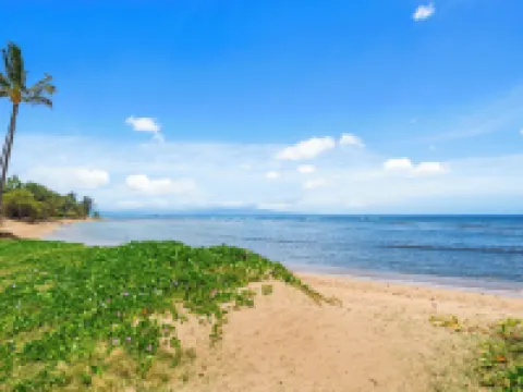Maui Schooner Resort Hotels in Kihei