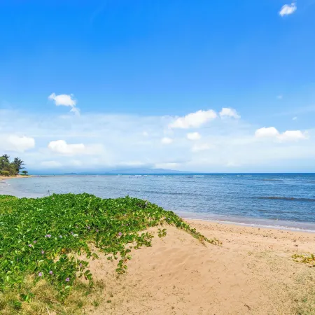 Maui Schooner Resort