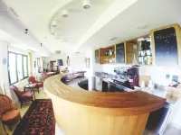 Hotel Triglav - bar