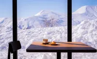 阿爾皮納酒店 - 山景