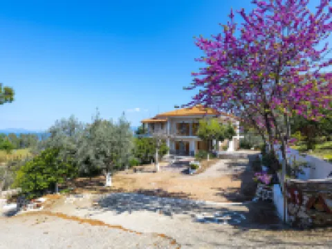 Maria Apartments Hotels in Epidaurus