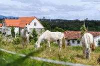 Quinta Lusitânia Hotels in Couto do Mosteiro