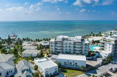 Alaia Belize, Autograph Collection Hotels near Alaia