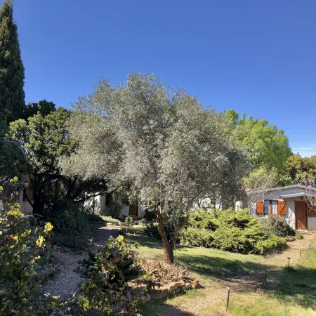 La Cerca Del Alcornoque