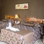 호텔 산 호르헤 테픽  호텔