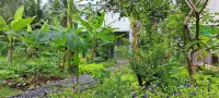 Coco Happy Farm