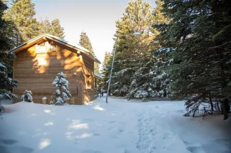 Uludag Orman Koskleri Отели в г. Zeyniler Mahallesi
