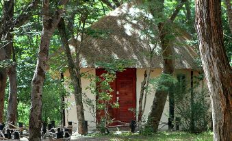 Gwango Elephant Lodge