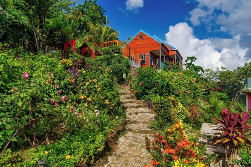 Tropical Paradise View Hotels in Anse La Raye