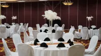 Mcm Elegante Hotel & Suites Lubbock Hotels in Lubbock