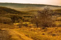 Villa Heaven Hills Hotels in Balchik