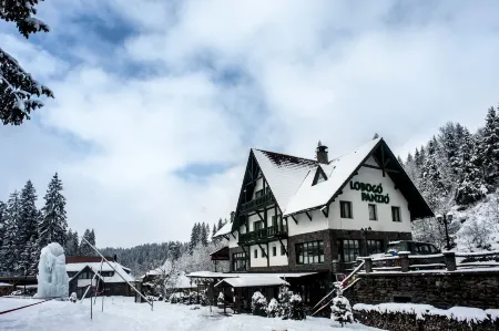 Lobogo Resort Отели в г. Одорхею-Секуйеск