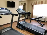 Quality Inn & Suites Hendersonville - Flat Rock - Gym