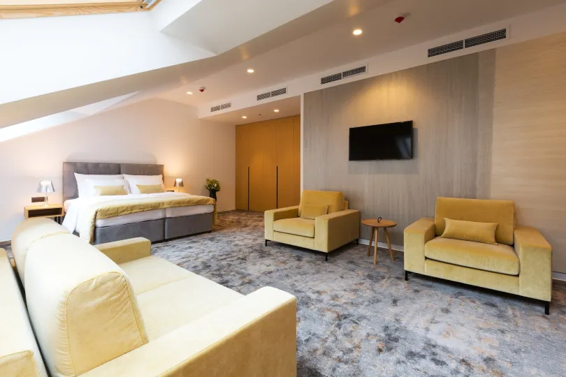 Boutique Hotel Museum