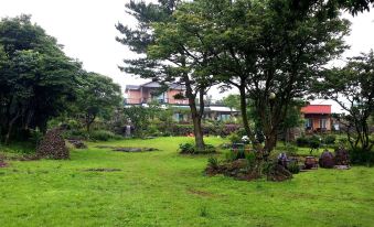 Gotjawal Geomunoreum Pension