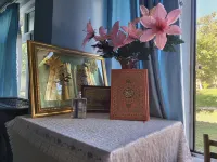 Gabala Garden Hostel